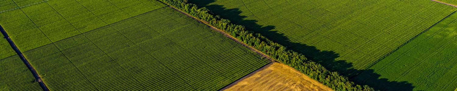 Farm Economy